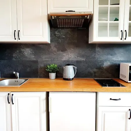 Z Balkonem Przy Ug דירה